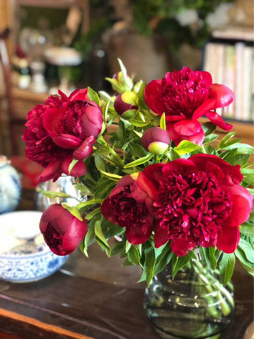 【预售！4.20起陆续发货】红色魅力芍药【当你觉得余味苦涩，请你相信，终有回甘】 复古暗红丝绒质感芍药 2束包邮 顺丰空运直发 商品图4