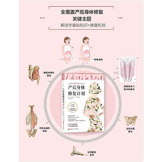 产后身体修复计划 欧洲产后康复科学经典著作；用更科学的方法，从根源上掌控健康。 商品图2