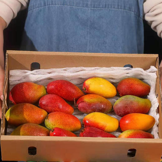 星际行者贵妃小果 商品图3