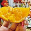 【伟诗优选】秭归橙 商品缩略图6
