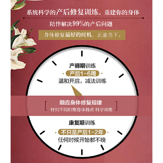 产后身体修复计划 欧洲产后康复科学经典著作；用更科学的方法，从根源上掌控健康。 商品图3