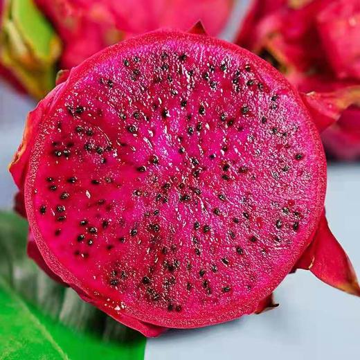 京都一号红心火龙果 商品图2