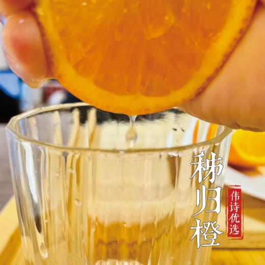 【伟诗优选】秭归橙 商品图3