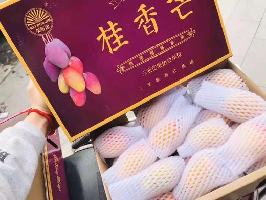 桂香芒5斤装1820颗甜度高汁水多芒果香味浓