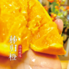 【伟诗优选】秭归橙 商品缩略图2