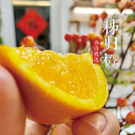 【伟诗优选】秭归橙 商品图5