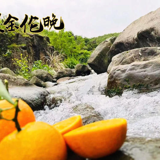 【阳光蜂蜜橙】一切向口感看齐，颗颗爆甜，价格劲爆，多汁橙子味浓郁～维C搭档！ 商品图0