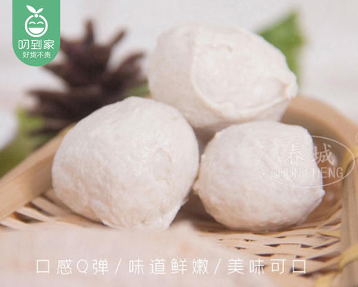 【预售-4月8日配送】【到手2包】春城漳浦肉圆/1份（250g*2包）生产日期：26年3月 商品图1