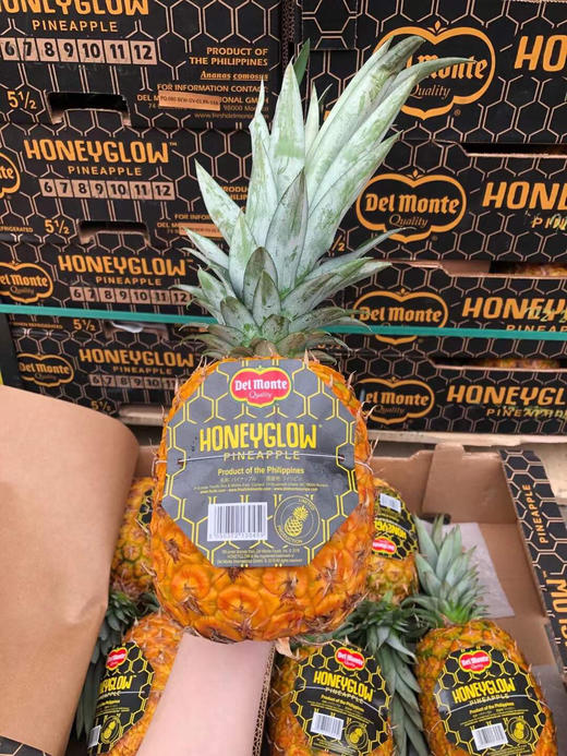 Del Monte菲律宾完熟凤梨🍍 纯树熟采摘、味道浓郁 商品图2