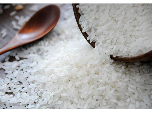 【25年新米】纯正五常民乐稻花香大米，不抛光，保留更多营养 商品图1