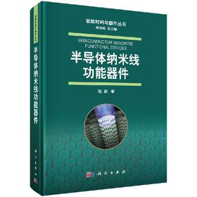 半导体纳米线功能器件/张跃