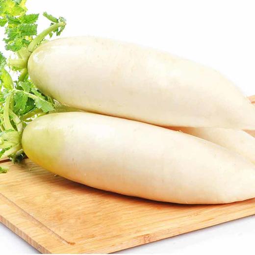精品菜：白萝卜900g 商品图1