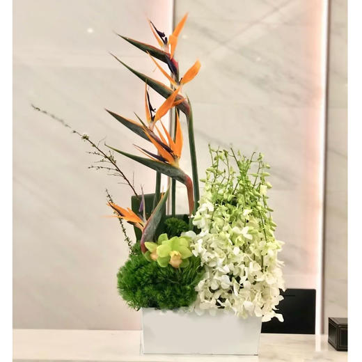 前台花87 商品图0