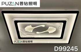 普钻 D99245