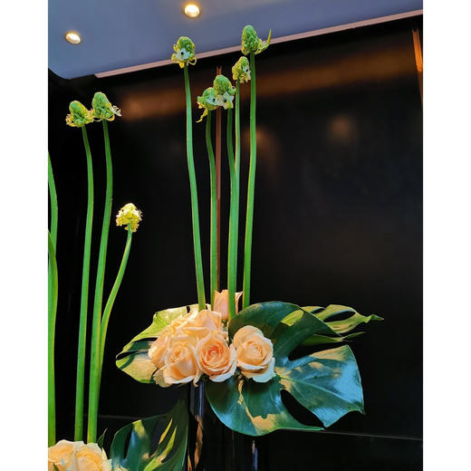 前台花67 商品图2