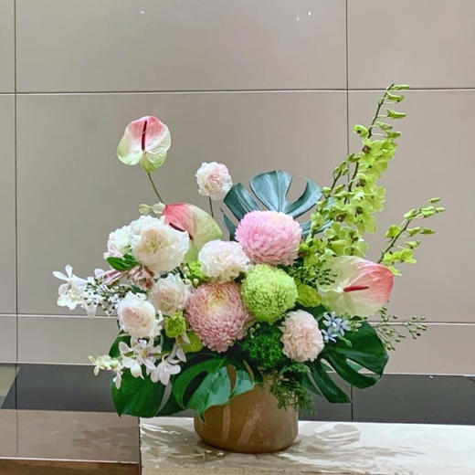 前台花71 商品图1