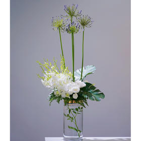 前台花18
