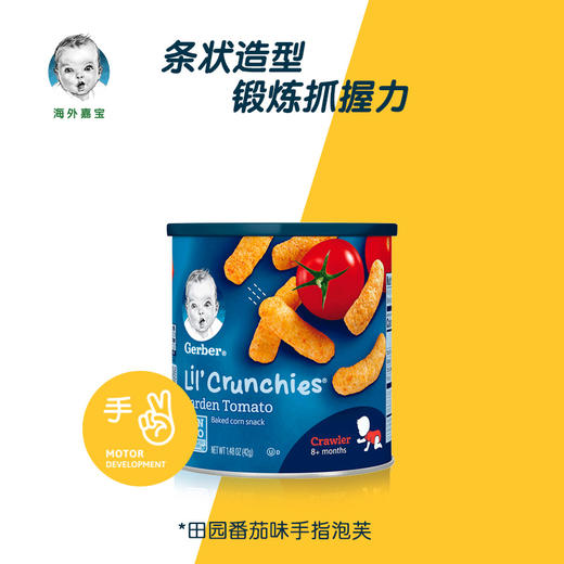 美国Gerber嘉宝 泡芙条 花园番茄味 42g 商品图2