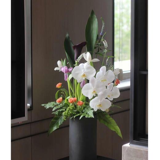 前台花80 商品图0