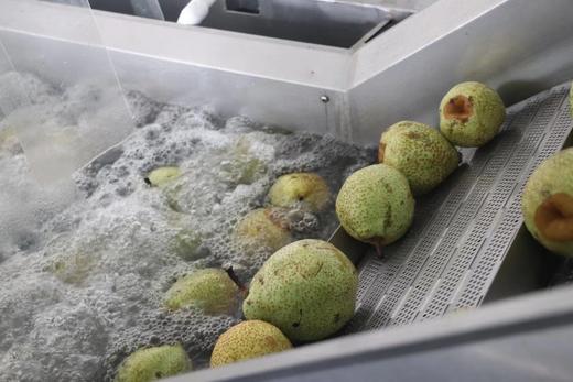 活动：买2赠10条10g便携装梨膏！【药企出品|莱阳梨膏 家庭版/便携装】四大名梨之一莱阳梨熬制 富含原儿茶酸 20斤莱阳梨熬1斤梨膏 商品图10