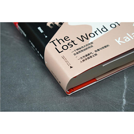 自由大地丛书 《荒漠之心》《巫医、动物与我》《航向亚马孙》 商品图4