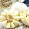 陕西阎良甜瓜 商品缩略图3