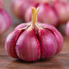 精品菜：新大蒜500g 商品缩略图2