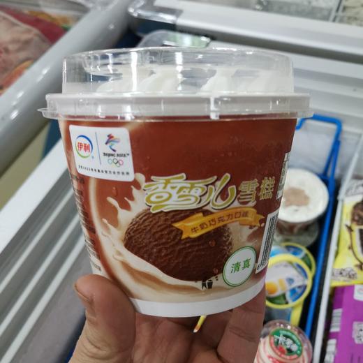 伊利香雪儿雪糕 商品图0
