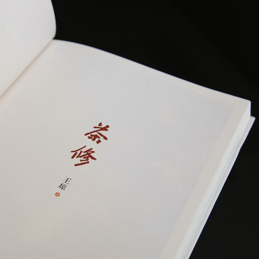 王琼老师书籍 商品图1