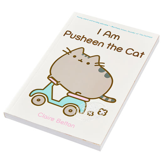 预售 【中商原版】我的猫吗？ 英文原版 I Am Pusheen The Cat? 休闲娱乐 商品图2