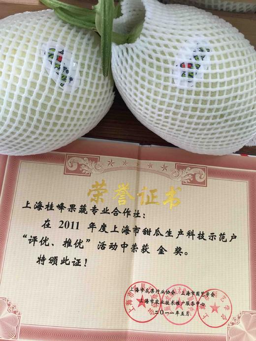 牛奶蜜瓜（10斤装）128包邮 商品图1