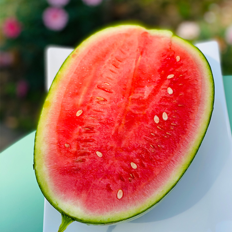 魔雷有机西瓜 | 细长椭圆形的小瓜,皮薄肉鲜艳,甜度超高,爽快!