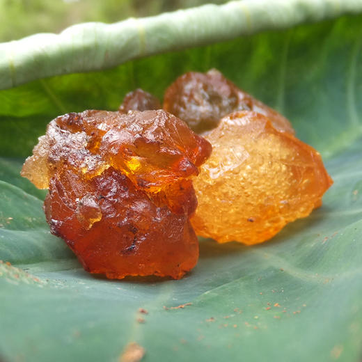 雪燕，桃胶，皂角米组合装，每样100g，送可食用玫瑰花一小份~ 商品图3