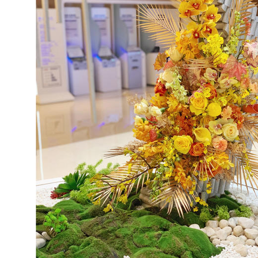 前台花69 商品图1