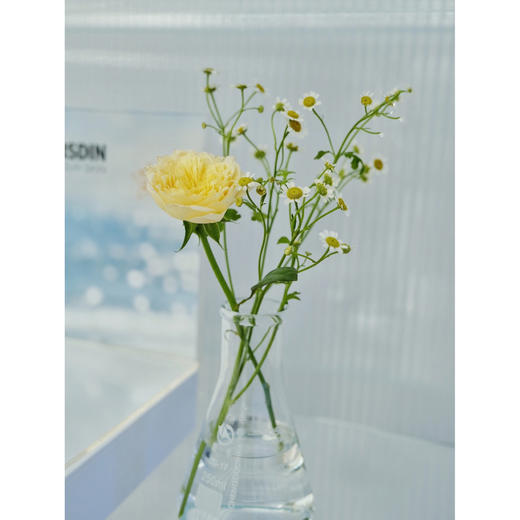 前台花62 商品图0