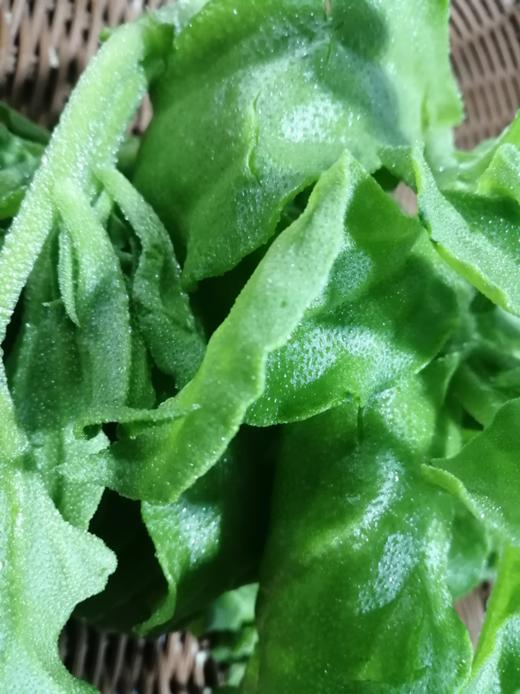 冰菜 300g 商品图0