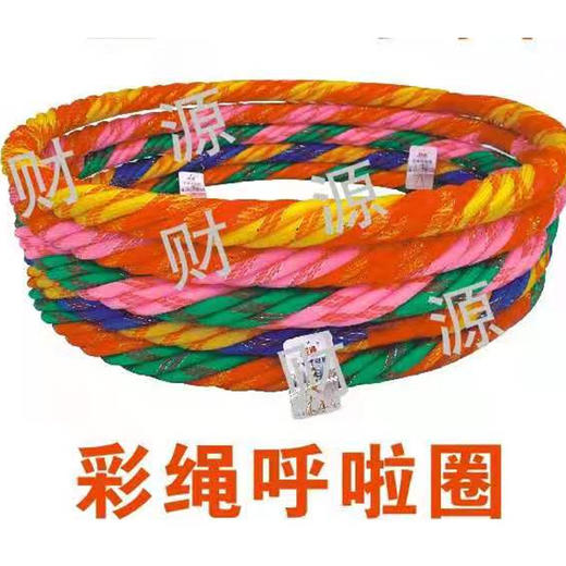 【12.9元/个】全球呼啦圈（1403119） 商品图0