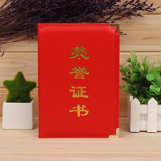 启恒荣誉证书1108 商品图1