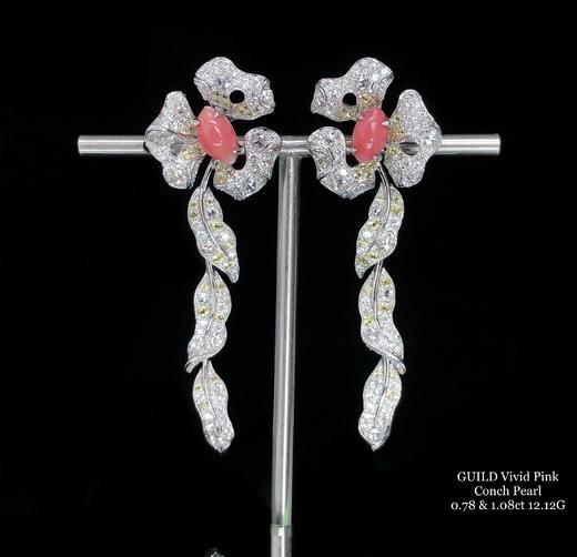 “万物生长”海螺珠钻石18K白金耳环

1.08&0.78克拉海螺珠 商品图0