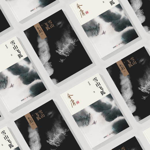 金庸作品集:《雪山飞狐》全一册（新修版2020版） 商品图2