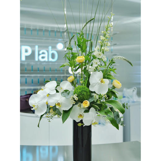 前台花64（单个） 商品图1