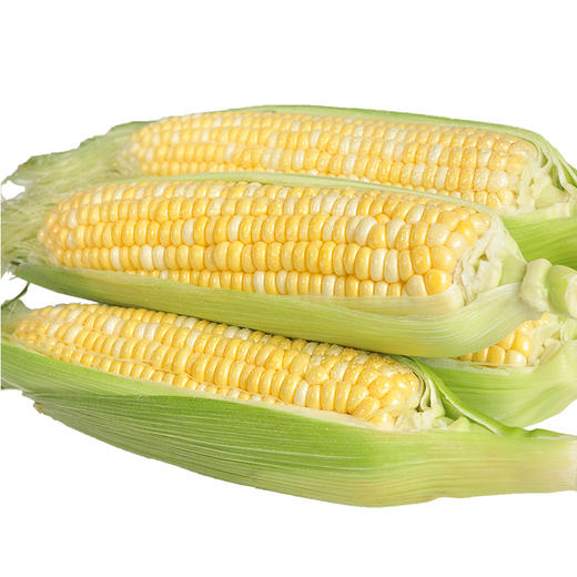 精品菜：鲜玉米1000g 商品图0