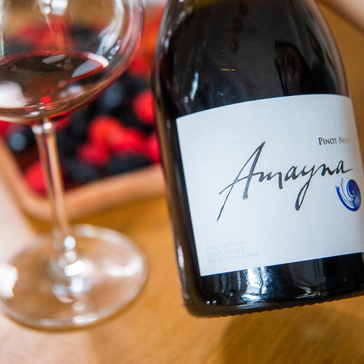 蓝色幻想黑皮诺干红葡萄酒2019年 商品图4