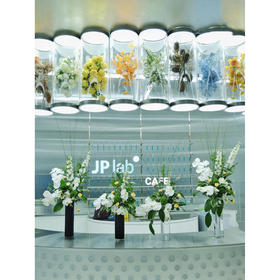 前台花64（单个）