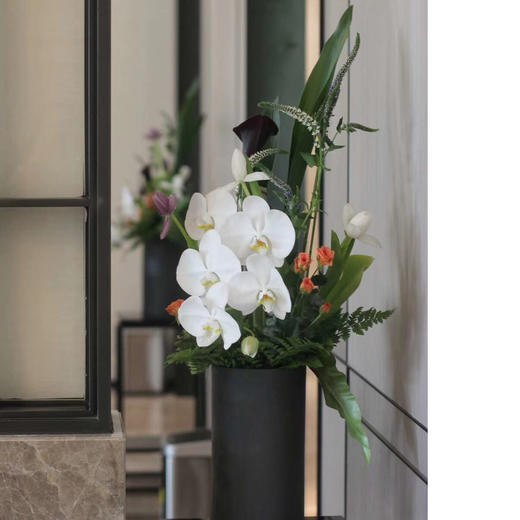 前台花80 商品图1