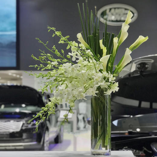 前台花61 商品图0