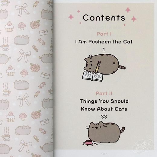 预售 【中商原版】我的猫吗？ 英文原版 I Am Pusheen The Cat? 休闲娱乐 商品图4