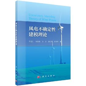 风电不确定性建模理论/于达仁