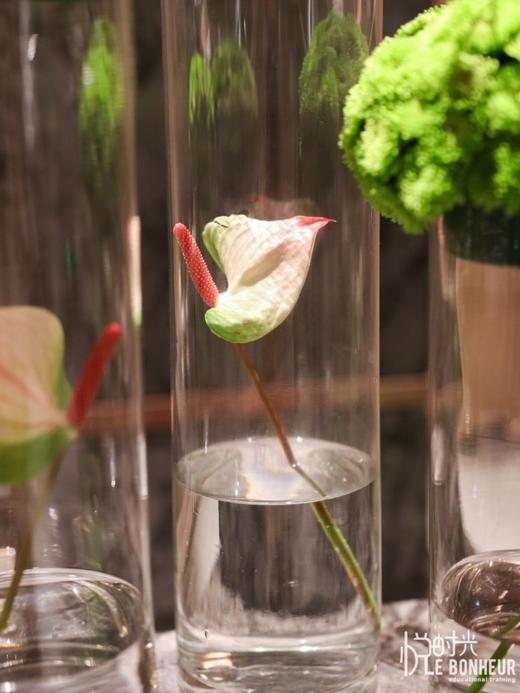 前台花54 商品图2