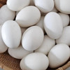 鹅蛋（枚） 商品缩略图0